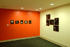 Photographs displayed in a colorful room.