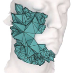 Image of a face with a triangulated and meshed figure over the left half.