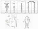 Chart containing ten sets of measurements and drawings of hand and body.