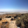 A photo of the Spiral Jetty, the land art sculpture constructed of mud, salt, and rocks.