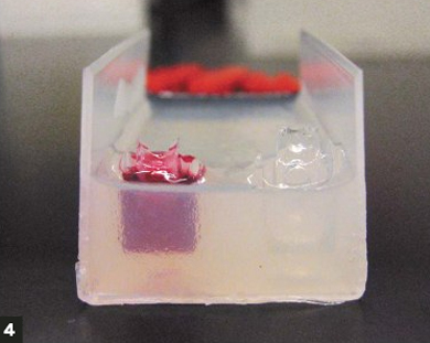 Photo of the solidified medium removed from container with DNA sample inserted in hole left by the Lego assembly.