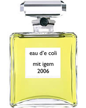 Photo of perfume bottle with label eau d'e coli / mit igem / 2006.