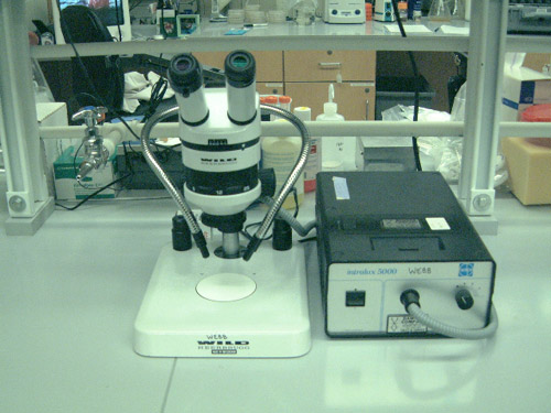 Conventional microscope.
