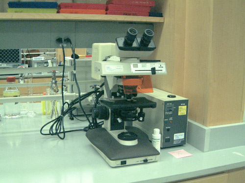 Fluorescent microscope.