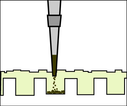 Diagram of loading agarose gel.