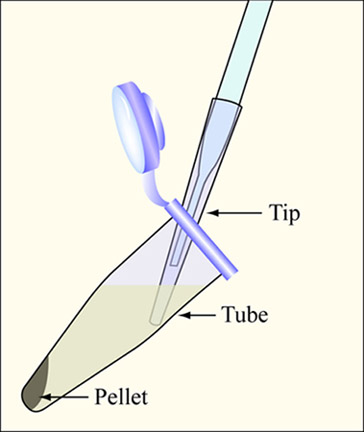 Schematic showing how to aspirate the supernatant.