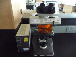 Photos of a conventional microscope and a fluorescent microscope in the lab.