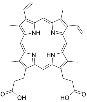 Chemical diagram of Protoporphyrin