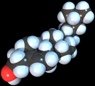Space-filling model of a cholesterol molecule.