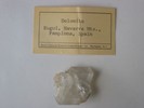 dolomite is calcium/magnesium carbonate. 