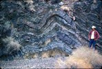 Folded shallow marine sediments.