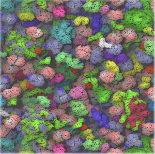 A colorful rendering of the cytoplasm model.