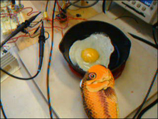 Photo of an egg frying in a pan.