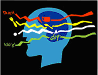 Graphic illustrating a brain processing language.