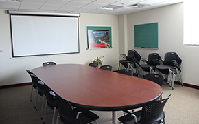Nine black chairs arranged around a wooden oval-shaped table. The table is positioned in the middle of the room; a white screen on one wall; two small green chalkboards are hung on the walls; there is a window on the wall to the right of the table.