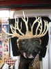 More feathers and fur pieced together, and white twisted antlers curving up to frame the head.