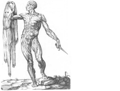 Old human anatomy engraving, depicting a standing man with muscles exposed, holding his removed skin in one hand as if he was flayed.
