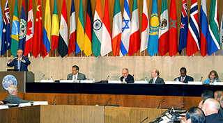 Economic leaders in a large conference room filled with international flags.