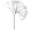 Tree image created using ContextFree program.