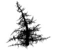Slime tree image created using ContextFree program.